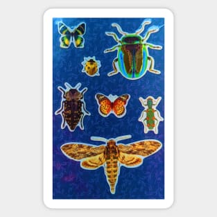 Bugs Sticker